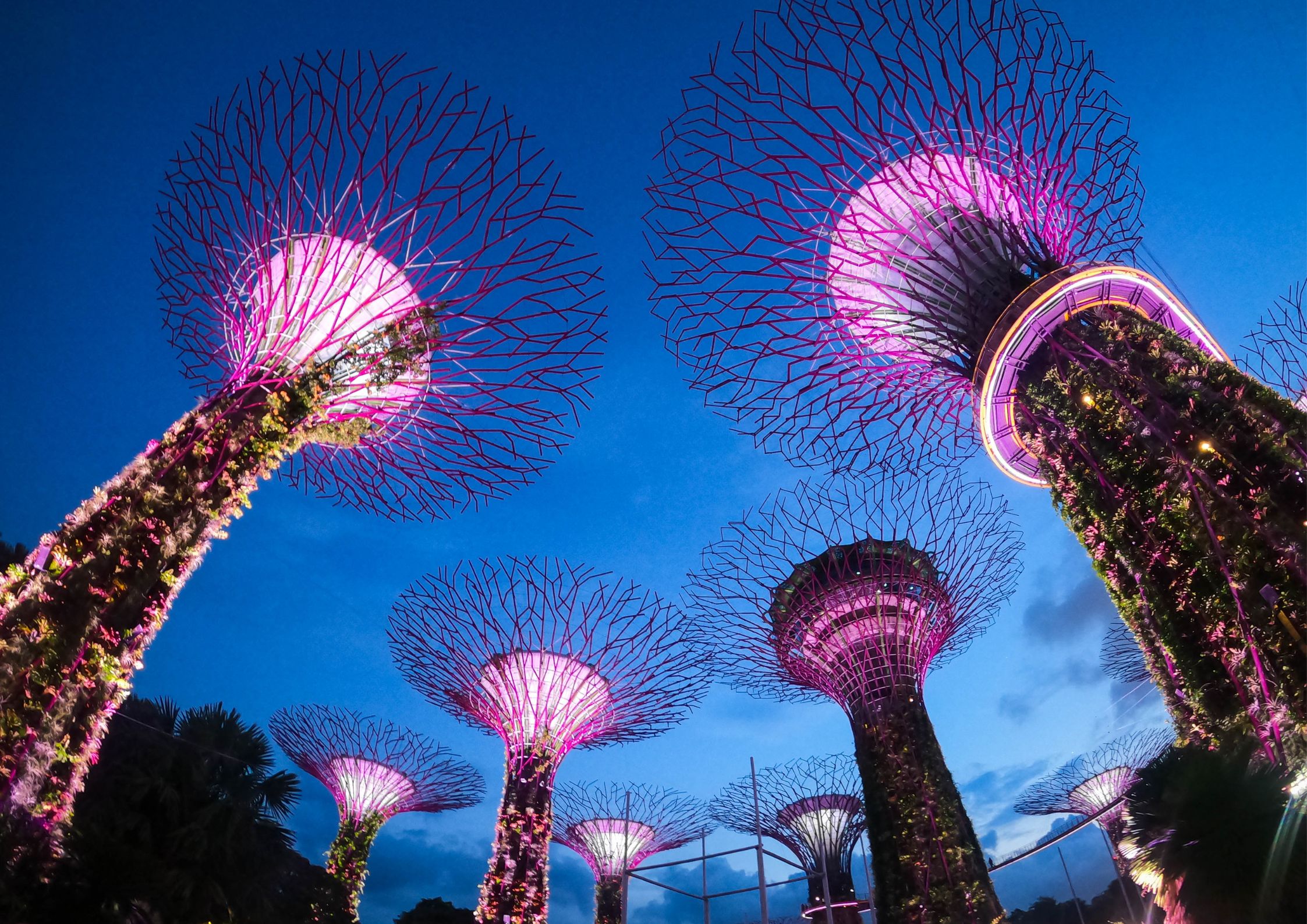 Garden By The Bay Garden By The Bay