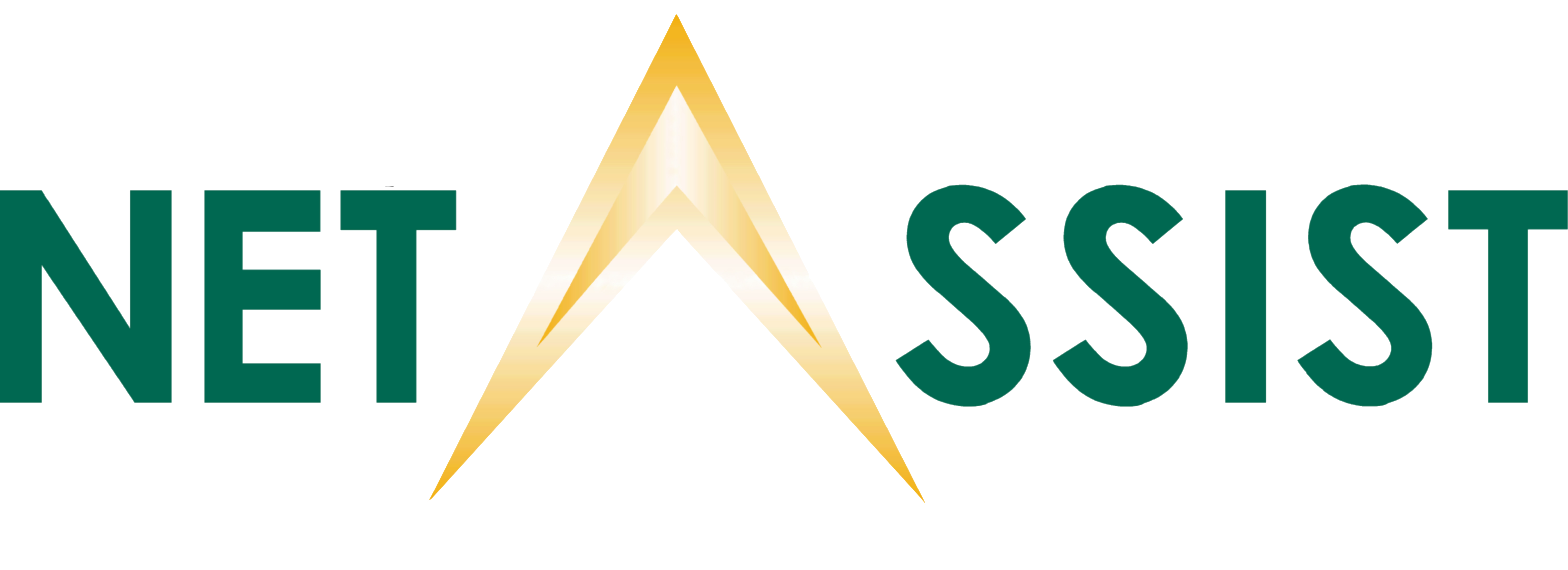 NetAssist Logo